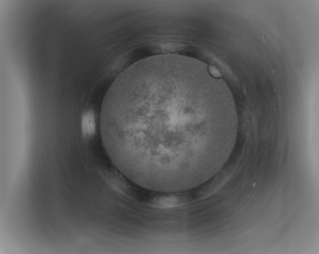 X0000113310075200909141320