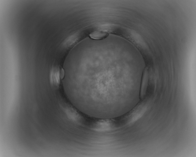 X0000113310076200909141320