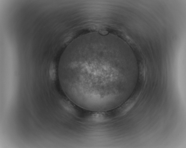 X0000113310080200909141320