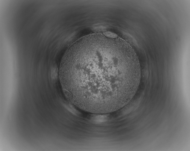 X0000113310081200909141320