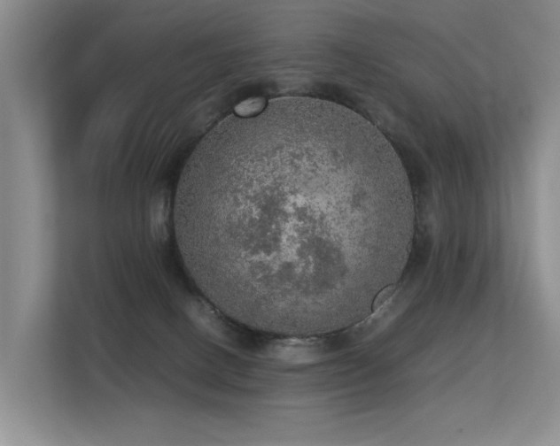 X0000113310082200909141320