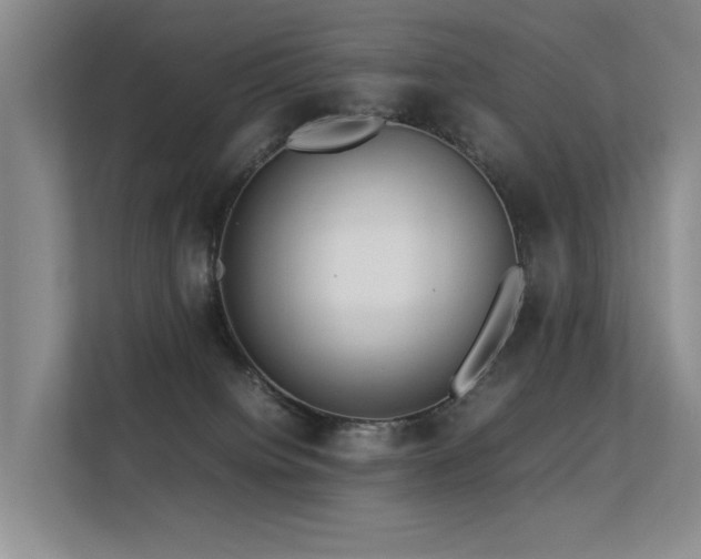 X0000113310084200909141320