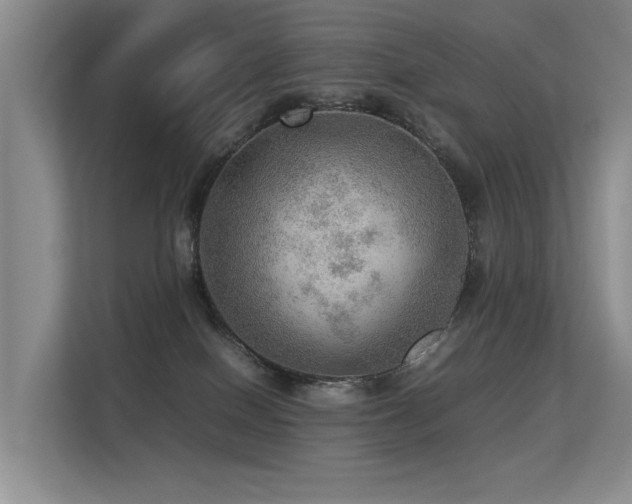 X0000113310086200909141320