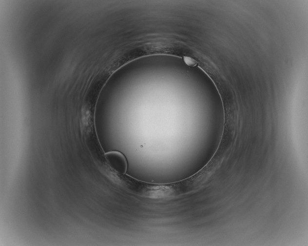 X0000113310087200909141320