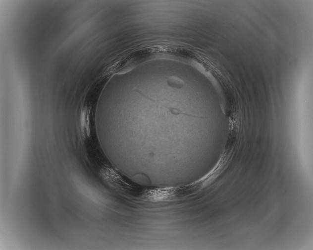 X0000113310094200909141320