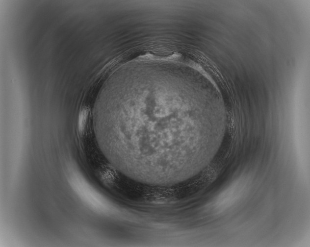 X0000113310095200909141320