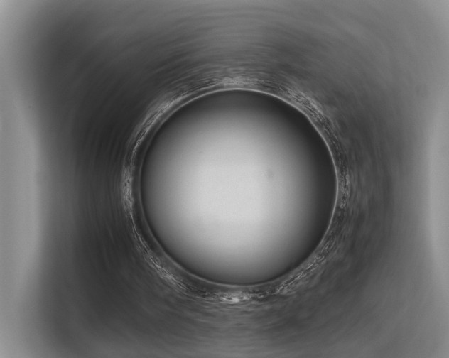 X0000113310098200909141320