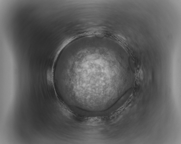 X0000113310100200909141320