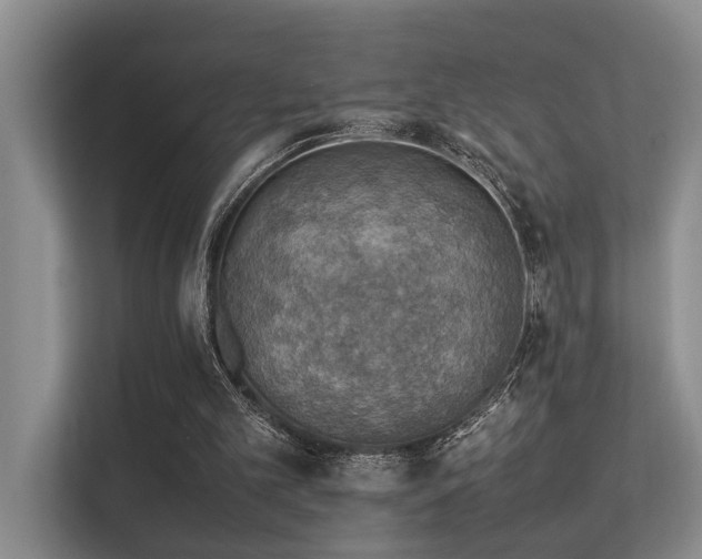 X0000113310101200909141320