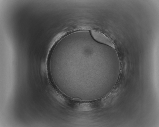 X0000113310104200909141320