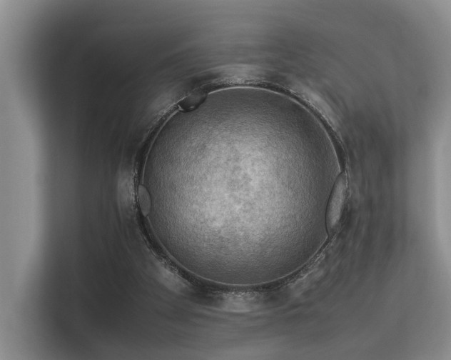 X0000113310105200909141320