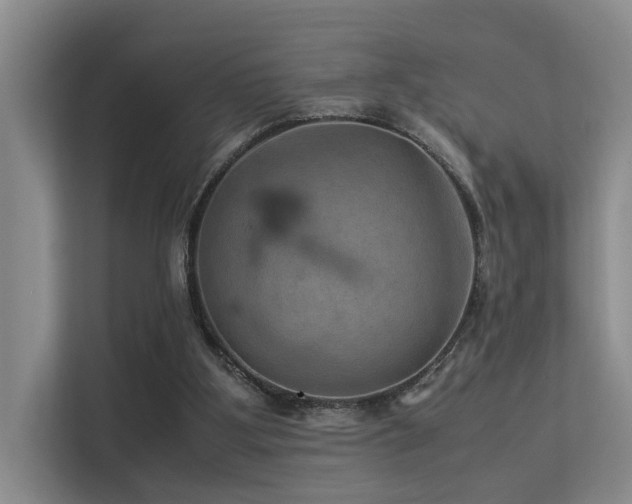 X0000113310107200909141320