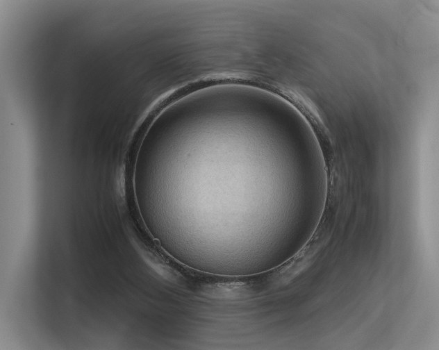 X0000113310108200909141320