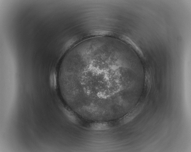 X0000113310110200909141320