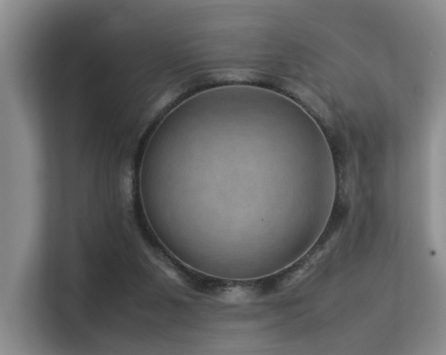 X0000113310111200909141320