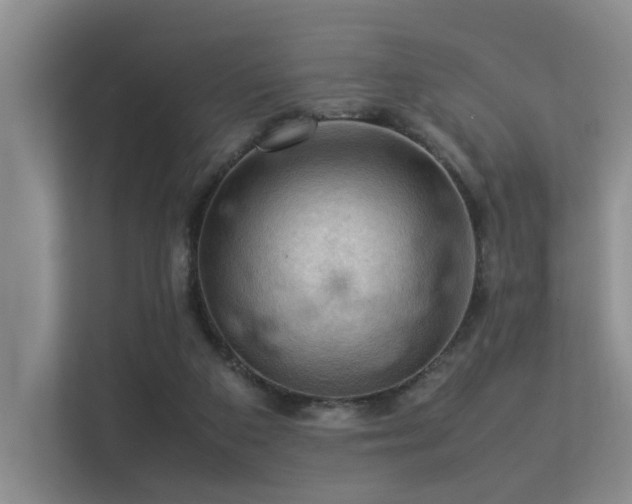 X0000113310113200909141320