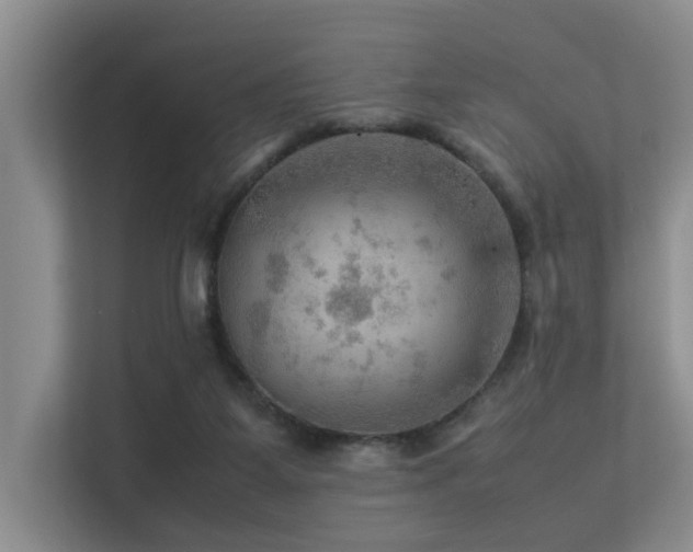 X0000113310115200909141320