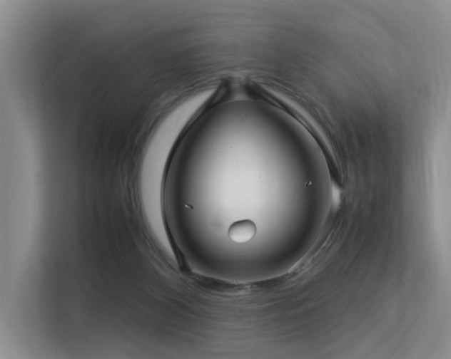 X0000113310116200909141320