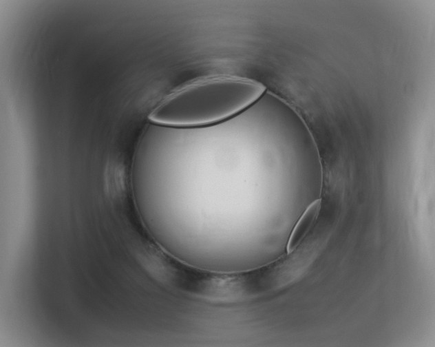 X0000113310117200909141320