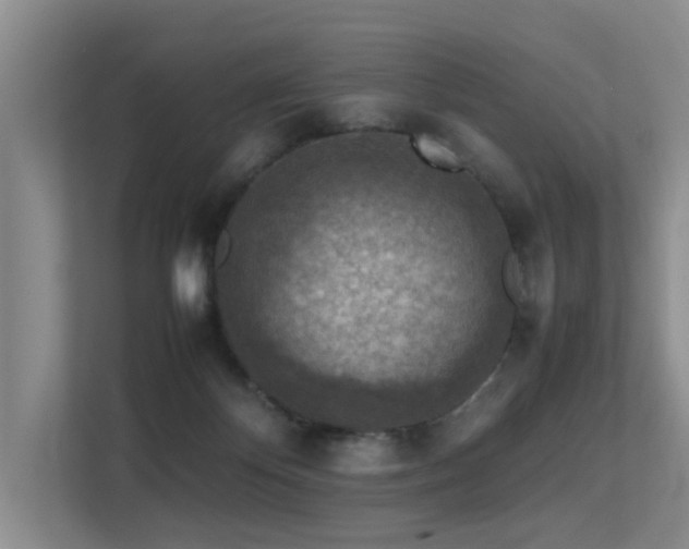 X0000113310124200909141319