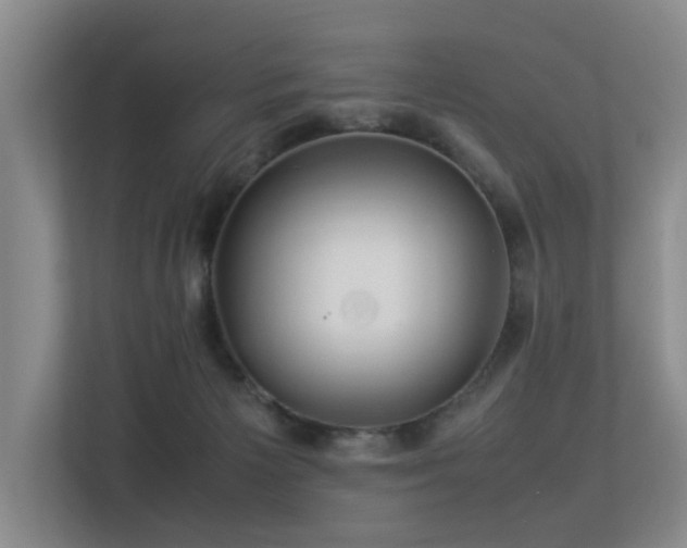 X0000113310125200909141319