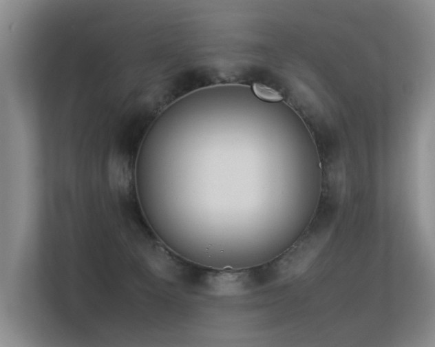 X0000113310129200909141319