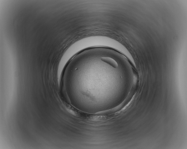 X0000113310136200909141319