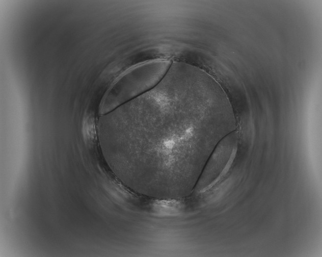 X0000113310137200909141319