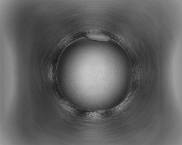 X0000113310140200909141319