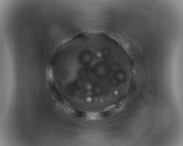 X0000113310143200909141319