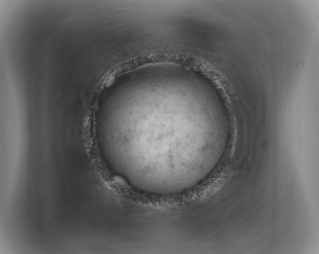 X0000113310144200909141319