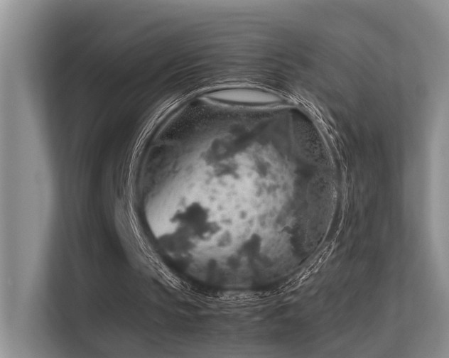 X0000113310145200909141318