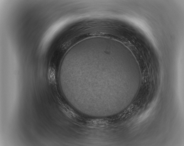 X0000113310146200909141318