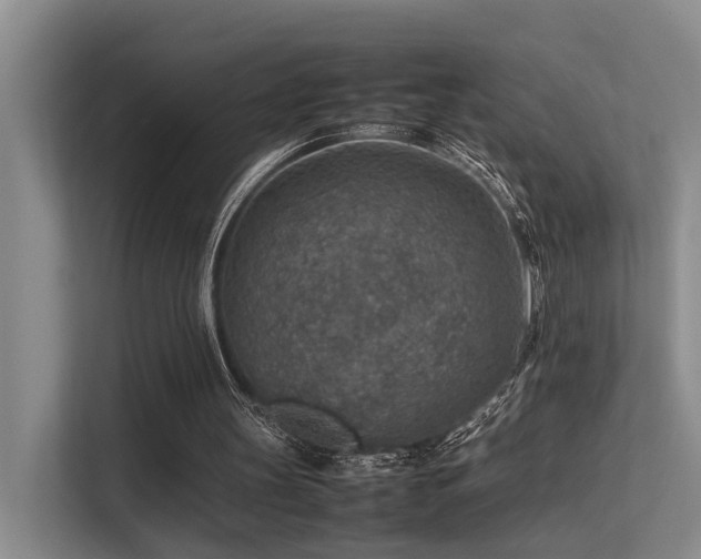 X0000113310147200909141318