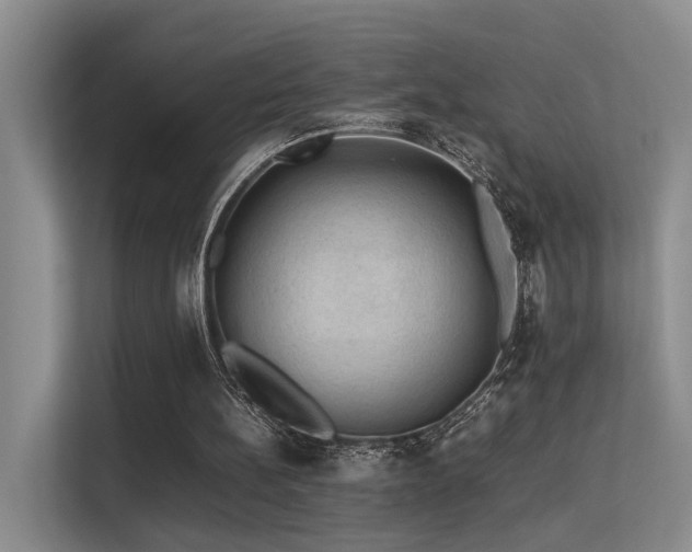 X0000113310148200909141318