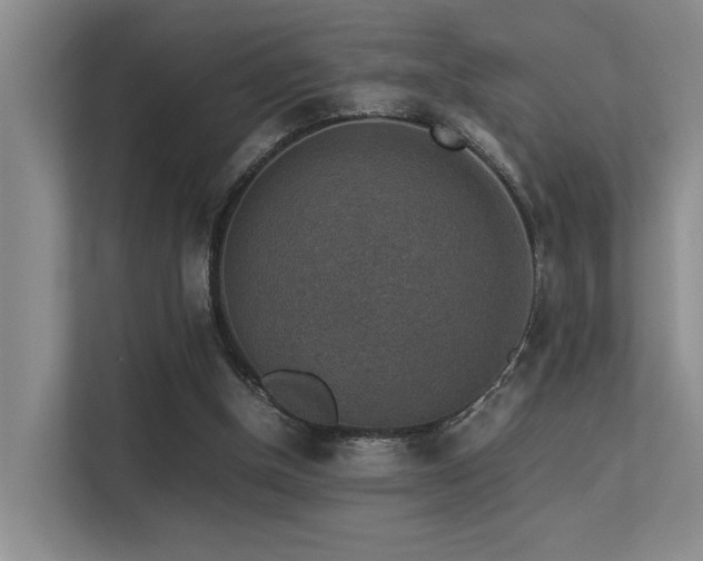 X0000113310154200909141319