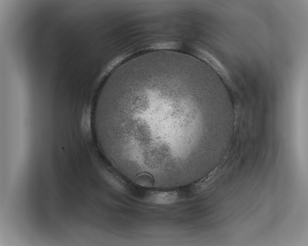 X0000113310155200909141319