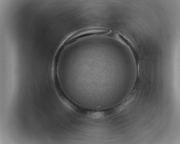 X0000113310156200909141319