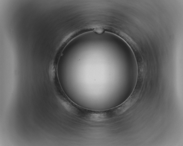 X0000113310160200909141319