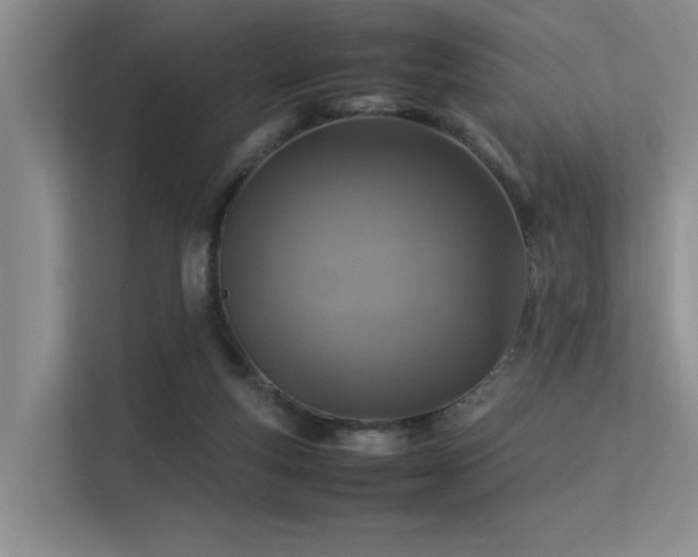 X0000113310163200909141319