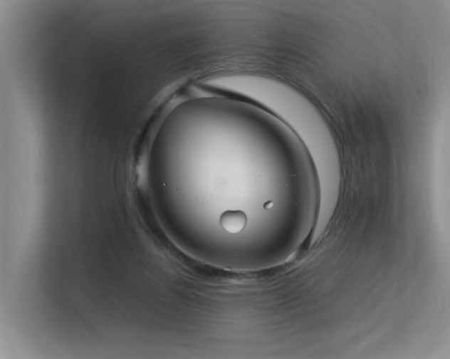 X0000113310164200909141319