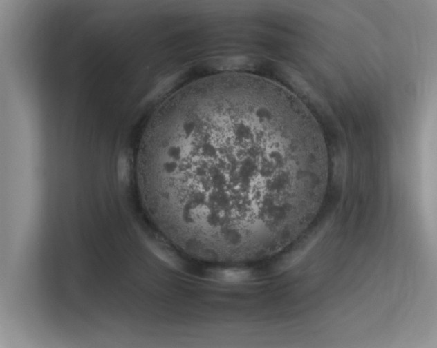 X0000113310165200909141319