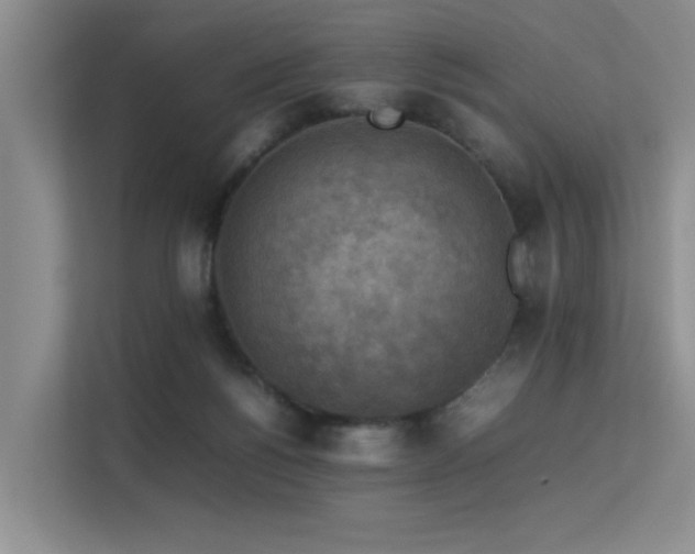 X0000113310168200909141319