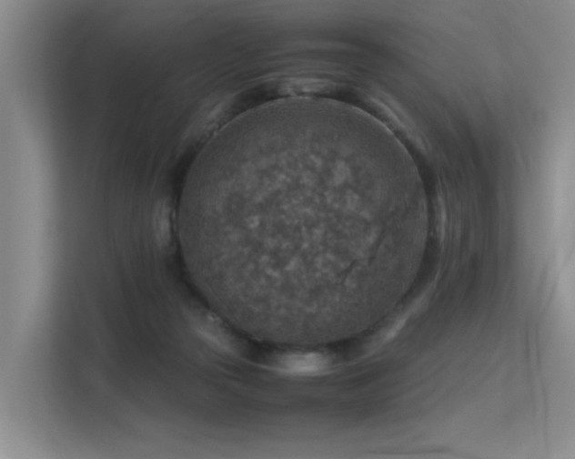 X0000113310169200909141319