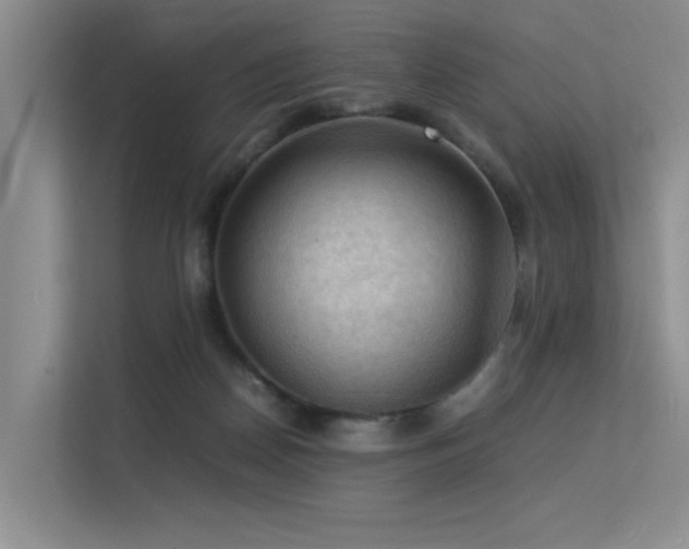 X0000113310170200909141319