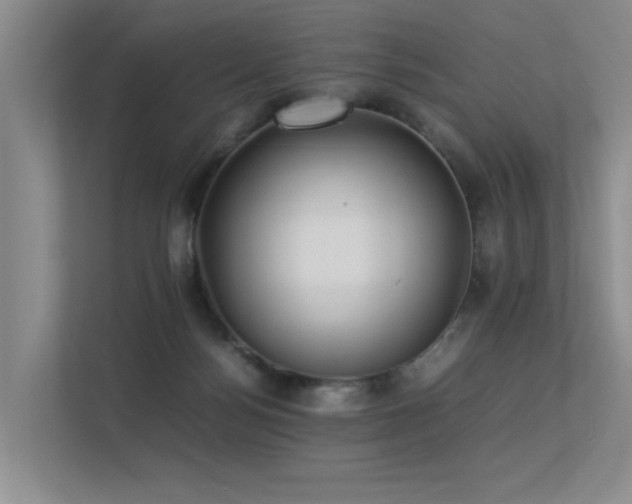 X0000113310172200909141319