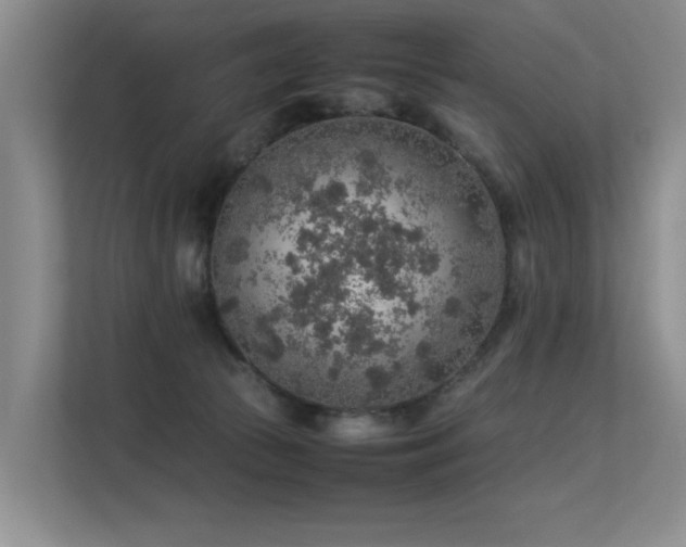 X0000113310177200909141319