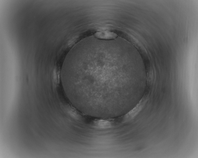 X0000113310180200909141319