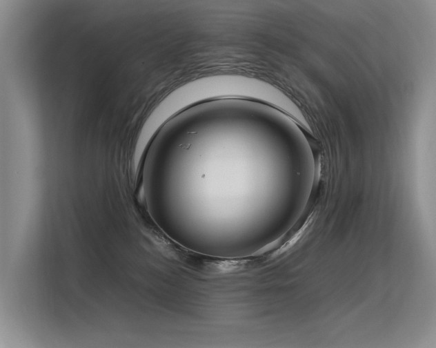 X0000113310184200909141319