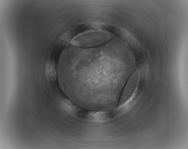 X0000113310186200909141319